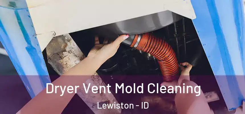  Dryer Vent Mold Cleaning Lewiston - ID