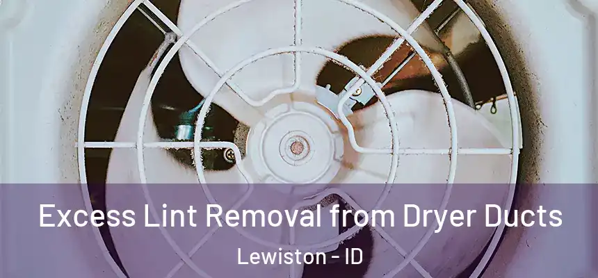  Excess Lint Removal from Dryer Ducts Lewiston - ID