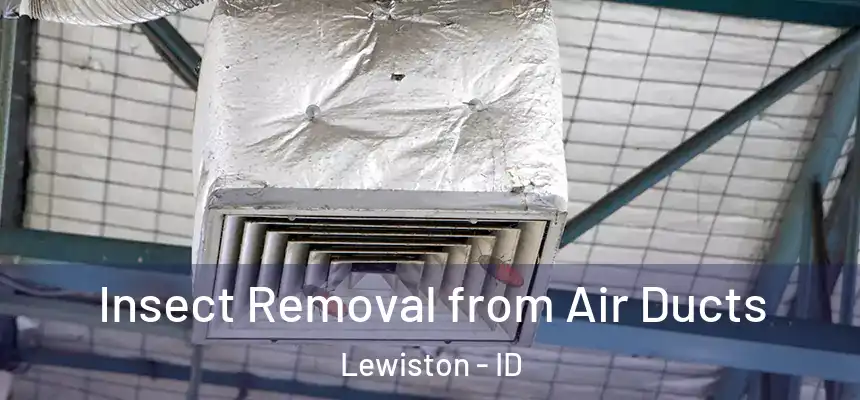  Insect Removal from Air Ducts Lewiston - ID