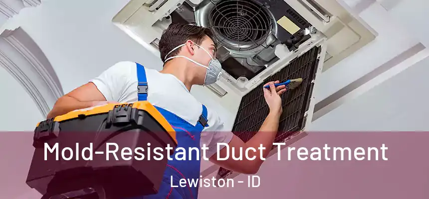  Mold-Resistant Duct Treatment Lewiston - ID