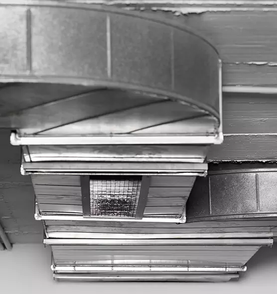 Professional Air Duct Pest Removal in Lewiston, ID