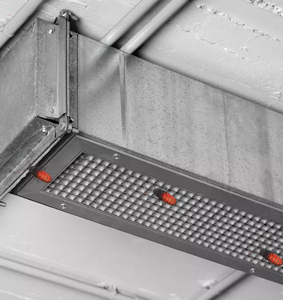 Affordable Insect Removal from Air Ducts in Lewiston, ID