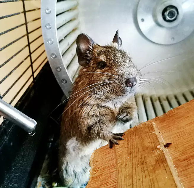 Why Homeowners & Businesses Trust Us Lewiston, ID