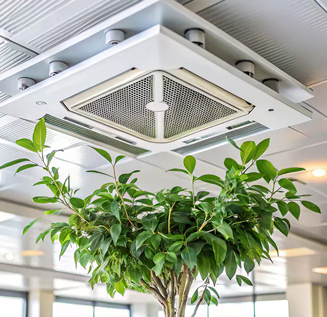 Why Homeowners & Businesses Trust Us in Lewiston, ID?